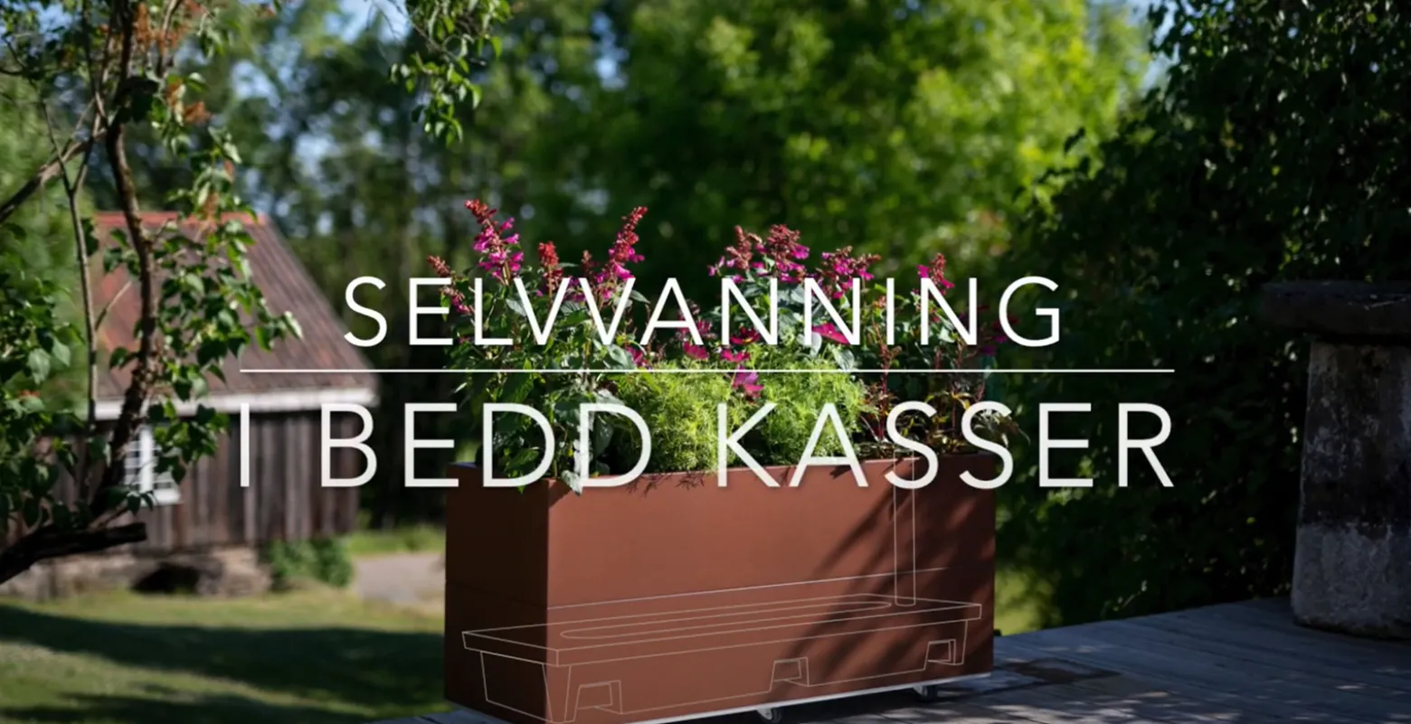 BEDD Innlegg for selvvanning