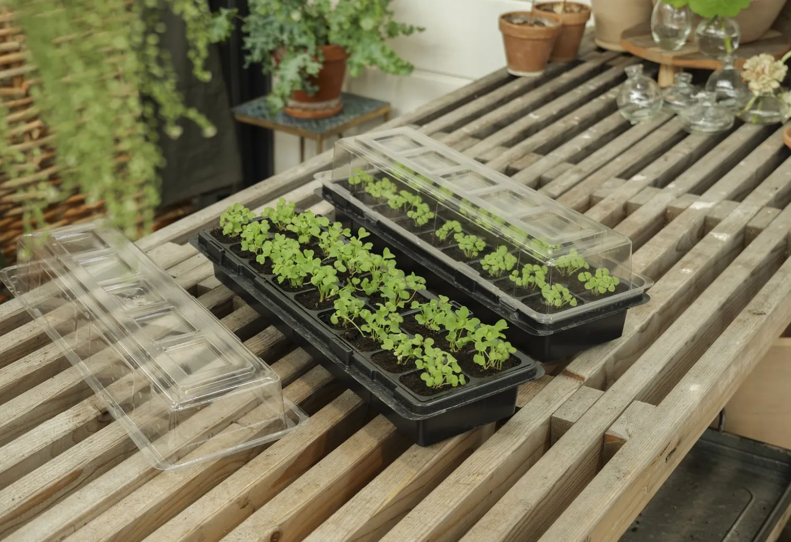 Minidrivhus for vinduskarm – 2-pakning