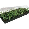 Minigro med 30 krukker