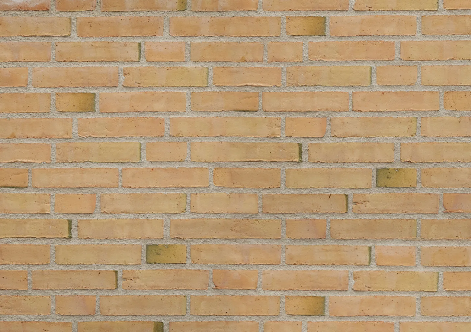 Murtegl Schatterad