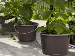 Plantespann 5 stk.