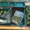 Planting