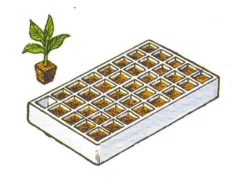 Selvvannende Minikap 60
