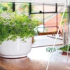 Stativ til vekstbelysningen Florabooster