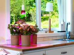 Vekstlampe Odla